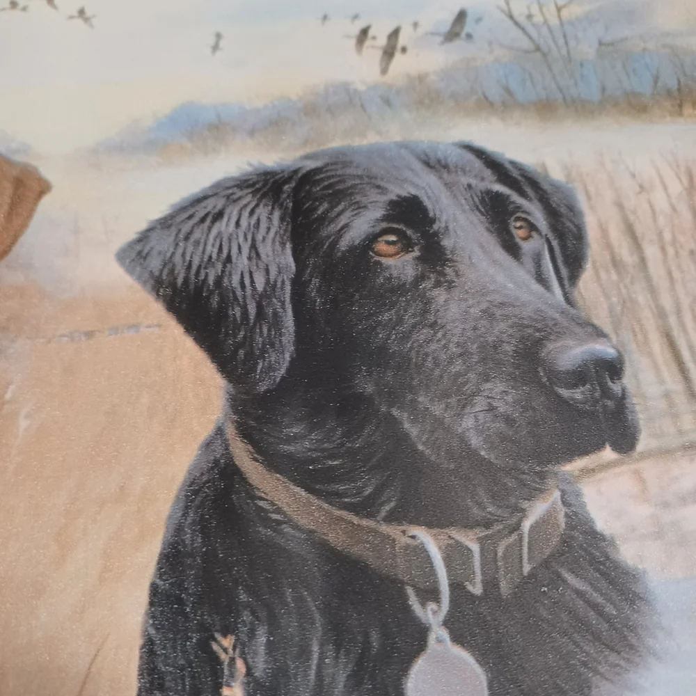 Wallpaper Border Hunting Labador Retrievers Brown Trim